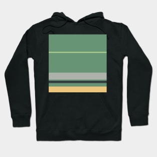 A refined tranquility of Silver Foil, Onyx, Oxley, Pale Olive Green and Pale Gold stripes. Hoodie